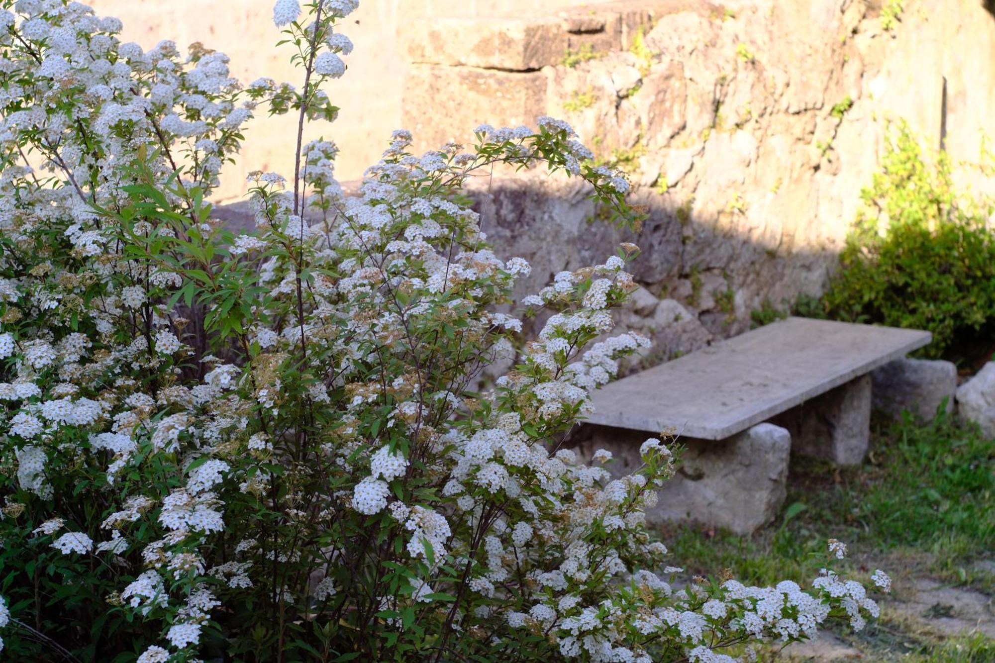 Conte Spencer Bed & Breakfast Caserta Vecchia Eksteriør bilde