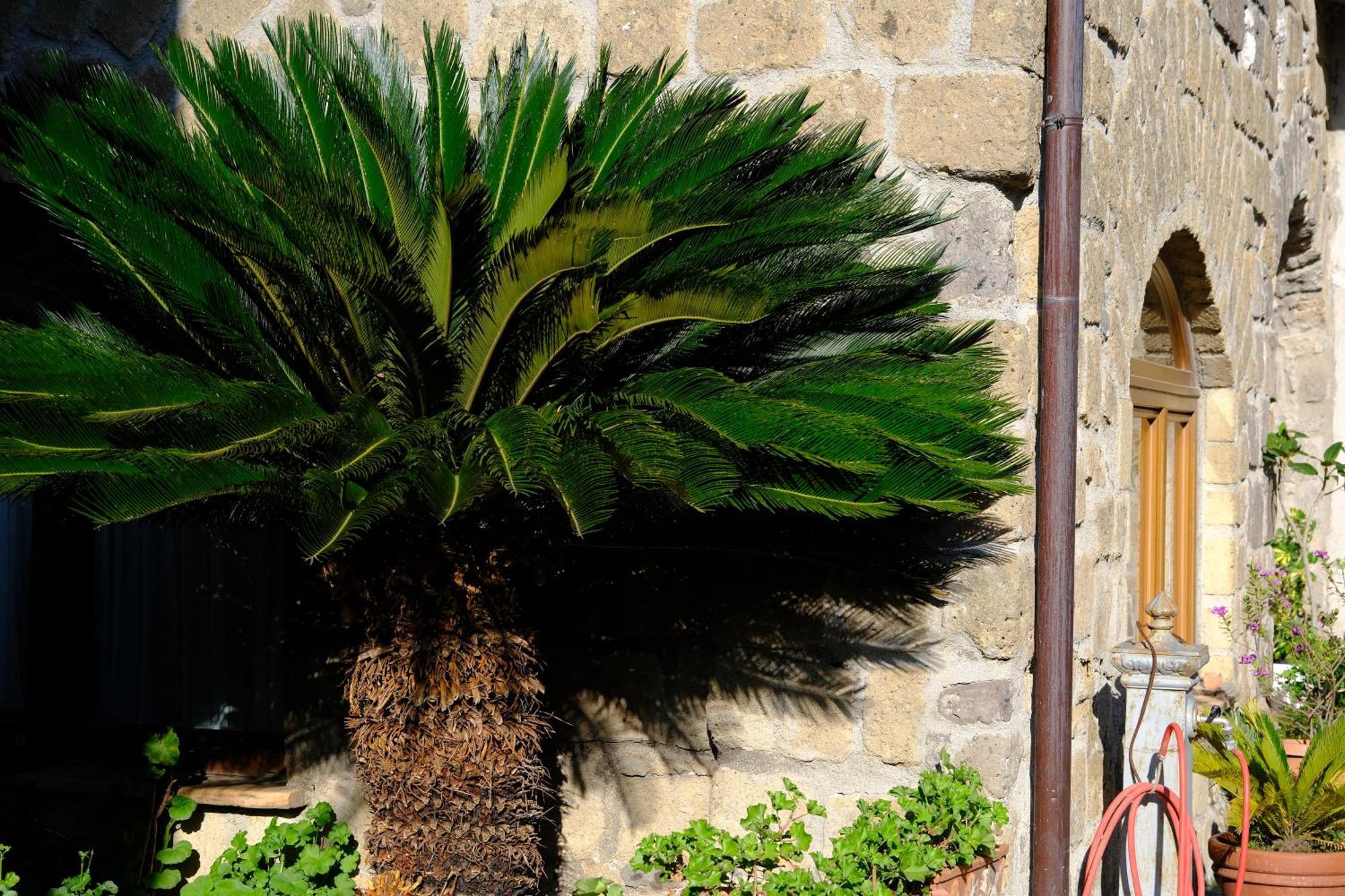 Conte Spencer Bed & Breakfast Caserta Vecchia Eksteriør bilde