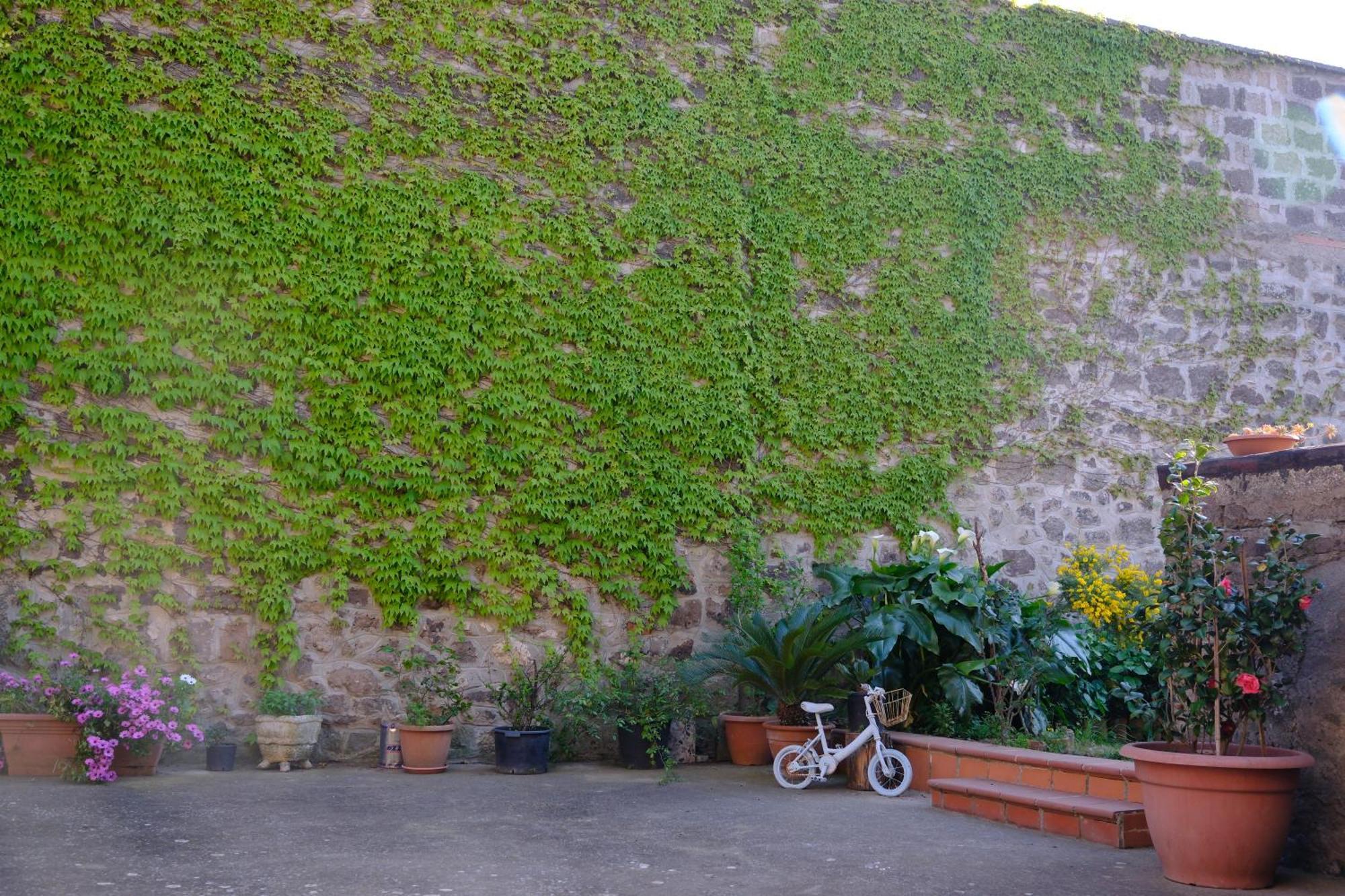 Conte Spencer Bed & Breakfast Caserta Vecchia Eksteriør bilde